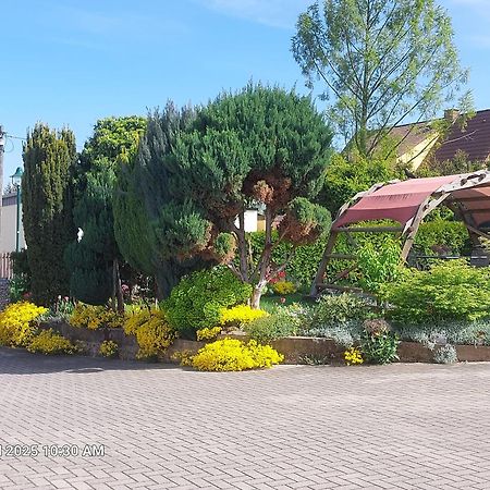 Ferienwohnung Bienwald Mit Pool Fuer 4 - 6 Personen Mit 3 Schlafzimmern Grobitz ภายนอก รูปภาพ