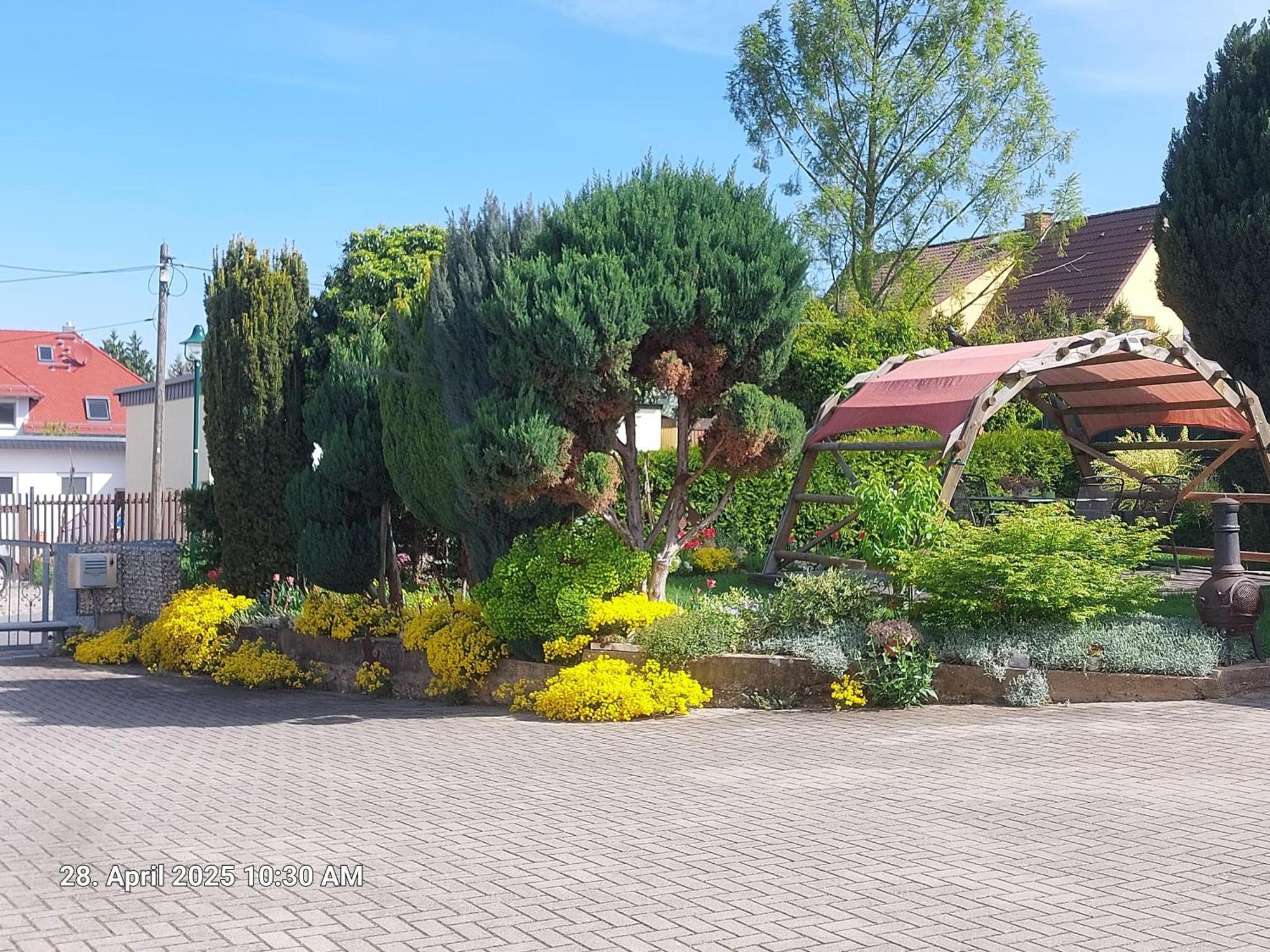 Ferienwohnung Bienwald Mit Pool Fuer 4 - 6 Personen Mit 3 Schlafzimmern Grobitz ภายนอก รูปภาพ